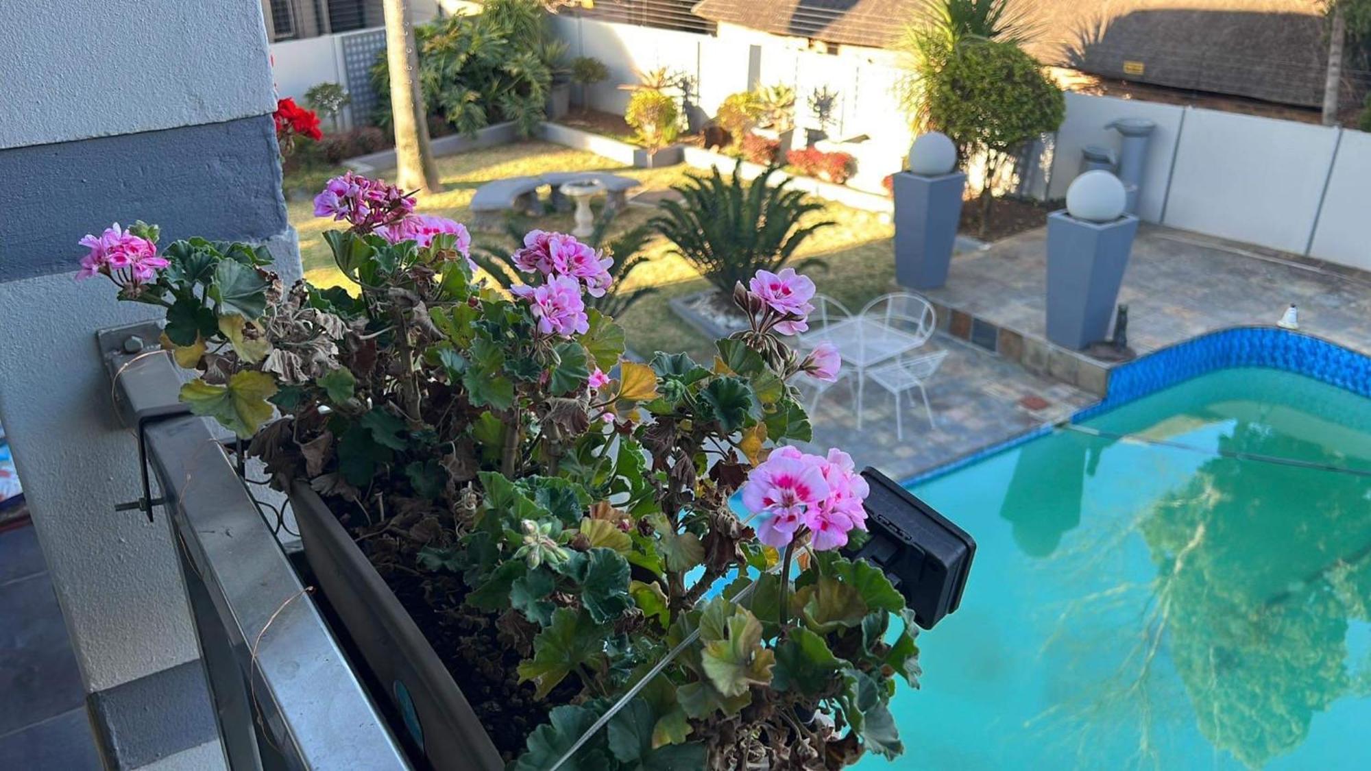 בוקסבורג 2 Op Terblanche Guesthouse מראה חיצוני תמונה